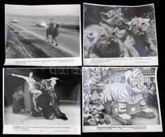 cca 1960-70 Vegyes, állatokkal kapcsolatos MTI fotók, 16db, különböző minőségben, 20x24cm