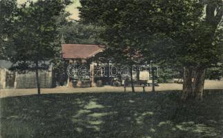 Püspökfürdő, Baile 1 Mai; 'Rosenbaum bazárja', kiadja Rosenbaum Ignác / 'Rosenbaum's Shop' (EK)