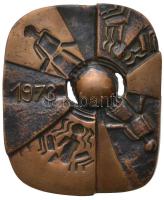 Szőllőssy Enikő (1939-) 1973. "XIV. Miskolci Filmfesztivál" kétoldalas Br plakett (113x93,5mm) T:2