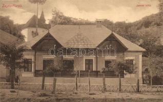 Zajzon-fürdő, Zizin; Jancsi villa / villa (kis szakadás / small tear)