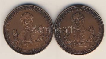 2 db klf modern Br emlékérem "Közlekedési...minisztertől-Gr.Széchenyi" T:2