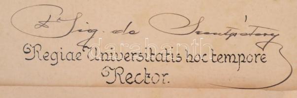 1942 Jogi (politikatudományi) diploma a bécsi döntések következtében Kolozsvárra visszahelyezett Fer...