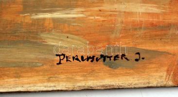 Perlmutter jelzéssel: Gőzhajó a városban. Olaj, farost, 39×53 cm