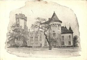 Nagykároly, Carei; gróf Károlyi kastély / castle (EB)