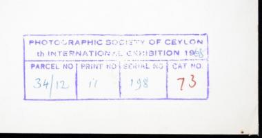 cca 1965 Dezső Pál (Kecskemét): Magyar táj, pecséttel jelzett, feliratozott vintage fotóművészeti al...