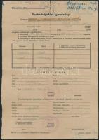 1942-44 Vegyes okmány tétel, 4db: Népfölkelési igazolványi lap; szabadságolási igazolvány; A levente...