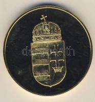 Modern emlékérem "Vám- és pénzügyőrségért" T:BU