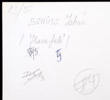 cca 1975 Velencei-tó, Schütz István feliratozott vintage fotóművészeti alkotása, 26x40 cm