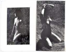 cca 1975 Aktfotók, 4 db finoman erotikus felvétel, 40x30 cm és 29x19 cm közötti méretekben