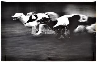 cca 1978 Gebhardt György (1910-1993): Befutó, feliratozott vintage fotóművészeti alkotás, 25x39 cm