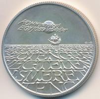 1993. 500Ft Ag "Expo 96" T:BU patina