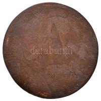 Ifj. Máriahegyi János (1925-2001) 1983. "Bozó Gyula 70 éves" Br emlékplakett (77-78mm) T:2...