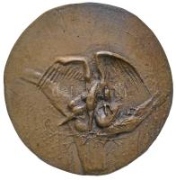 Rácz Edit (1936-) DN "Párzás" egyoldalas, erősen plasztikus művészi Br plakett mesterjegy nélkül (138-141mm) T:1- Hungary ND "Mating" one-sided, strongly plastic Br plaque without signature. Edit Rácz's work (138-141mm) C:AU