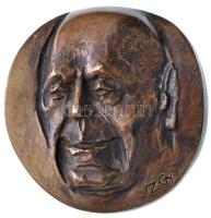 Szathmáry Györgyi (1940-) 2003. "Dr. Rados Jenő emlékérem" Br erősen plasztikus plakett, hátoldala gravírozott (102-104mm) T:2 Hungary 2003. "Dr. Jenő Rados commemorative medal" strongly plastic Br plaque with engraved back. Sign.: Gyöngyi Szathmáry (102-104mm) C:XF