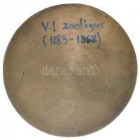 Szendrői Zoltán 1966. "Vásárhelyi István 1966" Br emlékplakett (99,5mm) T:1-,2
Hungary 19...
