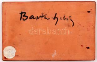 Barth Lydia: Hungary. Mázas kerámia falikép, jelzett, kopott, 17×11 cm
