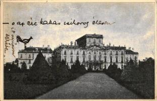 Eszterháza, Herceg Eszterházy kastély