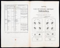 1866 A pénzügyi ministeriumnak 1866. november 30-kán kelt kibocsátványa, az arany s ezüst áruk finom...