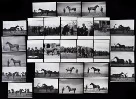 1967 Kerteskő, ménes a Bakonyban, Kotnyek Antal (1921-1990) képriportja, 28 db korabeli negatívról készült modern nagyítás 10x15 cm-es fotópapíron