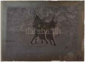 cca 1927 Mozdulatművészeti kompozíciók a kertben, 9 db üveglemez negatív, Kerny István (1879-1963) h...