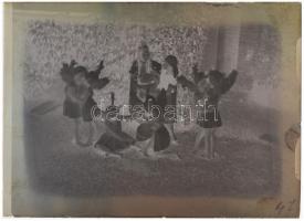 cca 1927 Mozdulatművészeti kompozíciók a kertben, 9 db üveglemez negatív, Kerny István (1879-1963) h...