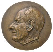 Szendrői Zoltán 1973. "Idős férfi portré" Br plakett (103,5mm) T:2  Hungary 1973. "Elderly man portrait" Br plaque. Sign.: Zoltán Szendrői (103,5mm) C:XF