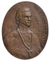 DN "Dr. Ranolder János 1806-1875" veszprémi püspök, ovális Br plakett (91x73mm) T:2 Hungary ND "Dr. János Ranolder 1806-1875" bishop of Veszprém, oval Br plaque (91x73mm) C:XF