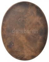 DN "Dr. Ranolder János 1806-1875" veszprémi püspök, ovális Br plakett (91x73mm) T:2
Hunga...