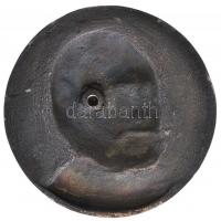 Eölvedy-Gachal József (1889-1974) 1959. "Doctor Tarnai Károly" ezüstözött Br plakett (105,...