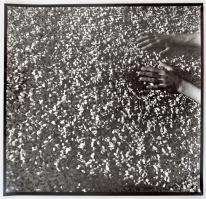 cca 1985 Molnár Csikós Virág: Kéz, 3 db jelzés nélküli vintage fotó, 27x27 cm