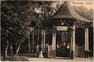Frantiskovy Lazne, Franzensbad; 5 old cut postcards