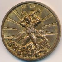 ~1930. "Trianon" Br emlékérem (40mm) T:2