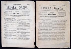 1875 Az Erdélyi Gazda c. folyóirat 8 egymást követő száma 1875 augusztusa és októbere között. Hetedik év, 34-41. számok. Néhol kisebb szennyeződés, sérülés.