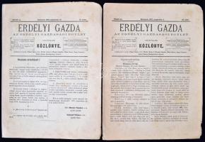 1875 Az "Erdélyi Gazda" c. folyóirat 8 egymást követő száma 1875 augusztusa és októbere kö...