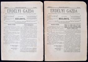 1875 Az "Erdélyi Gazda" c. folyóirat 8 egymást követő száma 1875 augusztusa és októbere kö...