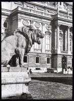 cca 1980 Budapesti oroszlánok, Balásy Pál  4 db feliratozott, nagyméretű, vintage fotója, 40x29 cm