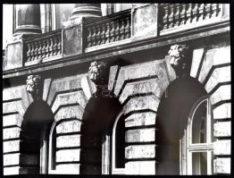 cca 1980 Budapesti oroszlánok, Balásy Pál  4 db feliratozott, nagyméretű, vintage fotója, 40x29 cm