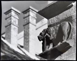 cca 1980 Budapesti oroszlánok, Balásy Pál  4 db feliratozott, nagyméretű, vintage fotója, 40x29 cm