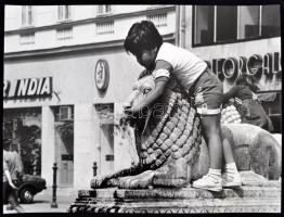 cca 1980 Budapesti oroszlánok, Balásy Pál  4 db feliratozott, nagyméretű, vintage fotója, 40x29 cm