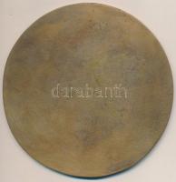 Szabó Iván (1913-1998) 1973. "Az iskolák államosításának 25. évfordulójára" egyoldalas Br ...