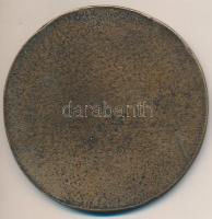 Ligeti Erika (1934-2004) 1976. "Szentendrei hetek" egyoldalas Br érem (88mm) T:2