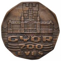 Renner Kálmán (1927-1994) 1971. "Győr 700 éves" egyoldalas Br plakett (113mm) T:2