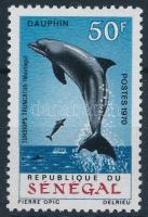 Delfin önálló bélyeg, Dolphin stamp