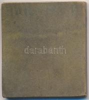 Sződy Szilárd (1878-1939) 1926. "Dr. Füzesséry Zoltán" Br plakett (30x34mm) T:2