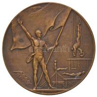 1933-1934. "A Pesti Izraelita Hitközség Reálgimnáziuma - Erő az ifjú dísze" Br emlékérem. Szign.: Székely G. (38mm) T:2