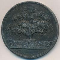 Dánia / Schleswig-Hosltein 1846. "Nyílt levél 1846. júl. 8." ón emlékérem (41mm) T:2- ph.
...