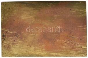 Románia 1955. "Testnevelési és Sporttudományi Bizottság - Nemzetközi Úszóverseny Bulgária"...