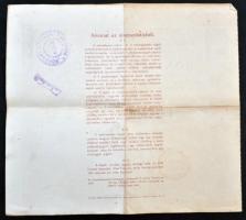 Budapest 1920. "Rokkant Otthon - Rokkantak Ipari és Gazdasági Szövetkezete" részjegy 100K-...