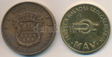 Bognár György (1944-) 1990. "Erdélyért - Pro Transilvania" Br piefort emlékérem (42,5mm) +...