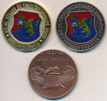 3db klf magyar militária emlékérem, DN "Szolnok / Pro Patria" Br emlékérem (42,5mm), "MH 43. Híradó és Vezetéstámogató Ezred - Székesfehérvár" aranyozott fém emlékérem (42,5mm) T:1-,2,PP ujjlenyomat
